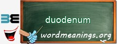 WordMeaning blackboard for duodenum